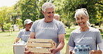 Volunteer, walk or old people in park with donations, social chat or collaboration in food drive campaign. Stroll, laugh or team outdoor with crate, charity work or distribution in senior outreach.