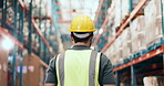 Back, man and walking for logistics in warehouse for inspection, quality control and supply chain. Person, storage or stock check for export, inventory management and supervisor of cargo distribution