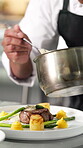 Hands, meat and plate with chef in kitchen for hospitality, culinary skill and gourmet diet. Gastronomy, cuisine and premium catering with person and steak in restaurant for cooking and food