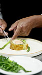 Culinary, plating or hands in kitchen with tweezers, catering or presentation in luxury cuisine. Hospitality, skill or man in restaurant with tool, aesthetic dinner or dish decorating in fine dining.