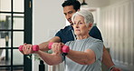 Fitness, physiotherapist or senior woman with weights, workout mentoring or strength training. Rehabilitation, muscle mobility or people with dumbbell for retirement support, coaching or help in home