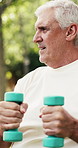 Senior man, weightlifting or exercise with dumbbells for arm movement or strength training in park. Elderly, male person or motion with weight for outdoor fitness, physiotherapy or wellness in nature