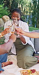 Woman, toast drinks and picnic with friends by lake, glasses and excited at lunch on summer vacation. People, group and celebration with wine, alcohol and break with food, happy or outdoor on holiday