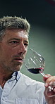 Smell, thinking and man with glass for wine tasting, aged flavor and identify scent notes at winery. Aroma reflection, alcohol assessment or mature sommelier with evaluation of liquid, drink or taste