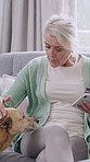 Old woman, phone and credit card with dog on sofa for online shopping, relax and care in home. Senior person, smartphone and pet animal with e commerce, fintech or easy payment on app in retirement