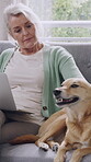 Home, dog and old woman with laptop on couch, love and bonding with animal, chilling and comfortable. Petting, canine and relax with furry companion in lounge, retirement and senior person with tech
