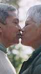 Morning, kiss and senior couple in nature for fresh air, bonding and connection in neighborhood. Retirement, marriage and elderly man with woman for affection, love and happy relationship outdoor