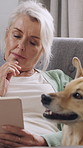 Journal, thinking and senior woman with dog on sofa for bonding with hobby, writing and reflection. Retirement, nostalgia and person with pet for trust, love and relationship with diary on weekend