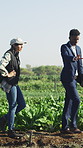 Man, woman and farmer with discussion for crops, inspection or negotiation for vegetable production. People, land assessment and corporate investor in agriculture, walk or space at sustainable farm