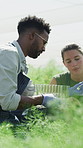 Botanist, people and test tube in greenhouse with plant sample, discussion or inspection for growth. Coworkers, environmental science or agro study in conservatory with ecology, research or teamwork.