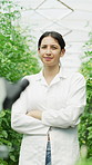 Face, woman and scientist with arms crossed in greenhouse for research, inspection and plant growth. Portrait, female person and microscope for agriculture, organic vegetables and quality assurance