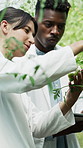 Technology, team and scientists in greenhouse for research, study or project on medical innovation. Collaboration, tablet and botanists with plants for pharmaceutical development in conservatory.