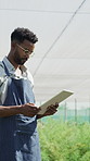 Tablet, plan and scientist in greenhouse for research, study or project on produce development. Digital technology, plants and male agronomist with quality assurance for botany growth in conservatory