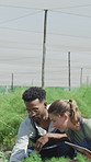 Agro, greenhouse and couple with plants for discussion, crop production or farming with tablet. Happy farmer, man and woman at conservatory for growth, agriculture or planning with interracial people