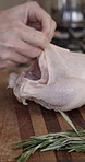 Person, hands or turkey with ingredients in kitchen for thanksgiving recipe or meal prep in home. Closeup, chef or getting ready with chicken stuffing for food cuisine, preparation or dinner in house
