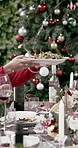 Christmas, dish and friends in garden for lunch in holiday, festive season and celebrate together. December, bonding and happy people with food for xmas party, dinner and tradition in backyard