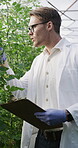 Greenhouse, scientist and man with clipboard, plants and inspection for pest management and writing. Sustainability, agronomist and person with checklist for data collection and notes for growth rate