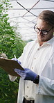 Greenhouse, scientist and man with clipboard, writing and plant inspection for study in environment. Sustainability, agronomist and person with checklist for data collection and notes for growth rate
