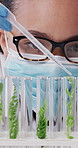 Pipette, science and test tubes with woman in laboratory for medical development or research. Dropper, plant sample and study with scientist person at work for cure, herbal medicine or testing