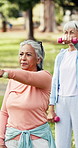 Outdoor, dumbbells and senior women for fitness, retirement workout class and strength training for health. Weightlifting, park and elderly people with exercise for wellness, performance and active