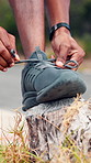 Runner, hands and tying with shoes on log for fitness, workout preparation or exercise in nature. Closeup, person or getting ready to tie sneakers for cardio training, outdoor trekking or hiking