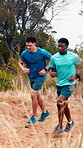 Fitness, sweat and men trail running on mountain for marathon practice, intense exercise or health. Runner team, people and jog in nature for endurance challenge, sport performance or workout stamina