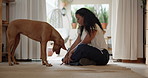 Home, woman or training dog with command for mental stimulation, development or pet adoption. Foster pet, owner or hand signal in living room for teaching obedience, animal care or domestic companion