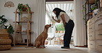Learning, dog and woman in home, discipline for obedience and animal care for adoption. Talking, pet owner and person in lounge, canine and teaching with paw technique, development and instructions