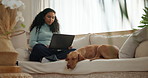 Laptop, research and woman on sofa with dog in home for remote work with creative project. Relax, freelancer and female person with puppy pet for bonding in living room with computer in apartment.