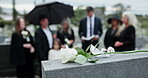 Rose, family and funeral officiant by tomb at cemetery, graveyard or outdoor for farewell. Pastor, people and together for grief, death and respect while reading bible for eulogy, flower and loss