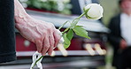 Hand, person and white rose for funeral at cemetery, memorial service and pay respect with coffin. People, graveyard and flower for peace, grief and mourning death at burial ceremony with casket