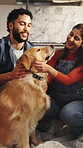 Couple, home and stroke dog with happiness, bonding together and play with companion for loyalty. Pet, man and woman with animal in kitchen, connection and care with golden retriever for support