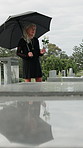 Old woman, thinking and sad with flower at cemetery for grief, memory or umbrella for mourning. Senior person, white rose and perspective for farewell, respect and bereavement for loss at graveyard