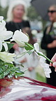Respect, hands and white rose on coffin at funeral for loss, mourning death or honor in cemetery. Family, person and flower on casket at burial service for final goodbye, closeup and tribute at grave