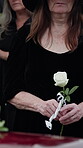 Funeral, flower and old woman in cemetery with hand, family grief and burial ceremony for final goodbye. Elderly person, rose and people in graveyard outdoor with memorial service, mourning or death.
