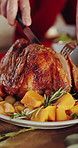 Hands, cut and roast chicken in home with dinner, traditional meal and cuisine for Christmas holiday. Person, slice meat and food in house with knife, supper and healthy nutrition for festive season.