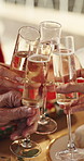 Christmas, hands and toast in home with champagne, festive celebration and family tradition together. People, cheers and alcohol drinks at party with glasses, social gathering and xmas holiday event.