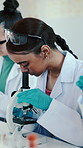 College, chemistry and women with microscope for analysis, experiment and research project. Students, university and education with sample, classroom and laboratory for scholarship and curiosity