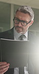 Review, glasses or man in office with document, budget report or insight on funding pitch. Thinking, flare or mature finance consultant with file, forecast plan or proposal evaluation for investment.
