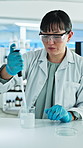 Science, research and woman in lab, test tube for experiment and chemistry for cure. Scientist, employee or person in workplace, equipment for medical innovation or liquid for solution or analytics
