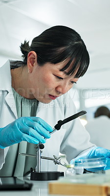 Woman, scientist and magnifying glass with sample in lab for research ...