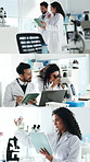 People, chemistry and microscope for scientist in lab with tablet, medical research and development. Biotech discussion, science experiment and technology for sample, synthesis and drug invention