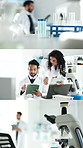 Scientist, chemistry and microscope for sample in lab with series, medical research and development. Biotech discussion, people and tech for experiment, synthesis and feedback for drug invention