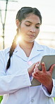 Woman, scientist and tablet in greenhouse for agriculture with checklist, report and inspection for crops. Person, tech and scroll with organic vegetables, sustainability and application at farm
