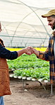 Handshake, people and farmer with deal for agriculture, sustainability and harvest. Greenhouse, shaking hands and partnership on farm with agro business for crops, supplier or hydroponics produce