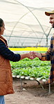 Shaking hands, people and farmer with deal for agriculture, sustainability and harvest. Greenhouse, handshake and partnership on farm with agro business for crops, supplier or hydroponics produce