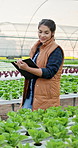 Woman, farmer and plants with clipboard in greenhouse for agriculture, inspection and growth report. Person, checklist and vegetables for food production, quality assurance and information on harvest