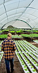 Team, inspection and farmer with plants for agriculture, sustainability or harvest. Greenhouse, vegetable and people on farm with agro business for crops, quality control or hydroponics produce