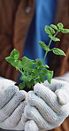 Hands, person and volunteering with plant growth for earth day, soil restoration and eco friendly. Volunteer, gloves or leaves with organic fertiliser, sustainable environment and community gardening