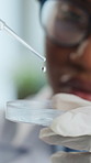 Scientist, petri dish and pipette with liquid drops for biology, examination or experiment in lab. Person, hands and medical research with molecule for healthcare cure, discovery or clinical trial
